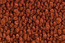 Custom Interior Loop Carpet Kit | 1969-72 Chevy K5 Blazer – Loop 21BurntOrange